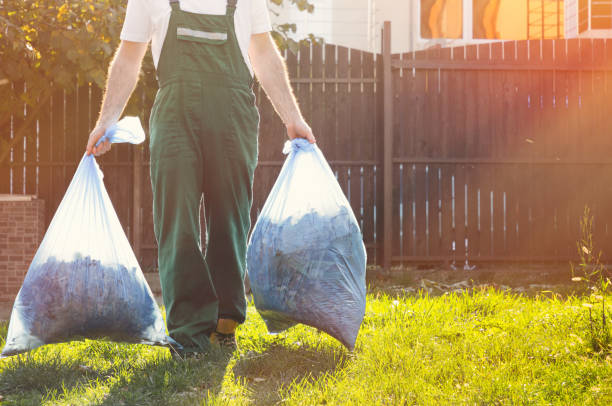 Best Dumpster Rental Services  in Reading, MI